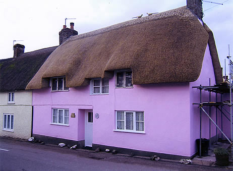 Rethatched terraced cottage in combed wheat reed, Maiden Newton Dorset