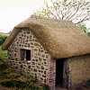 Simple thatched barn in combed wheat reed