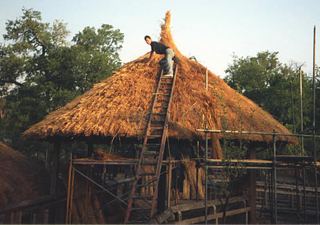 Thatching in Fort Worth Zoo, Texas USA